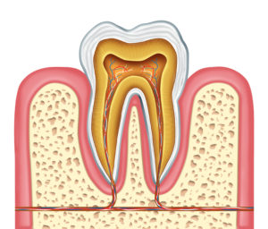 Permanent dentures cost 2019